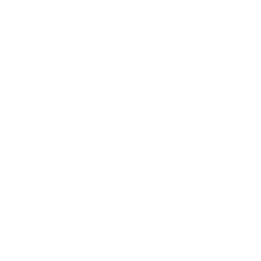 Developer Partner Logo 8